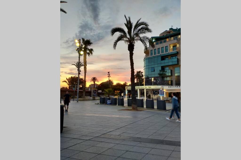 Estudio Comodo En Torrevieja Eksteriør bilde
