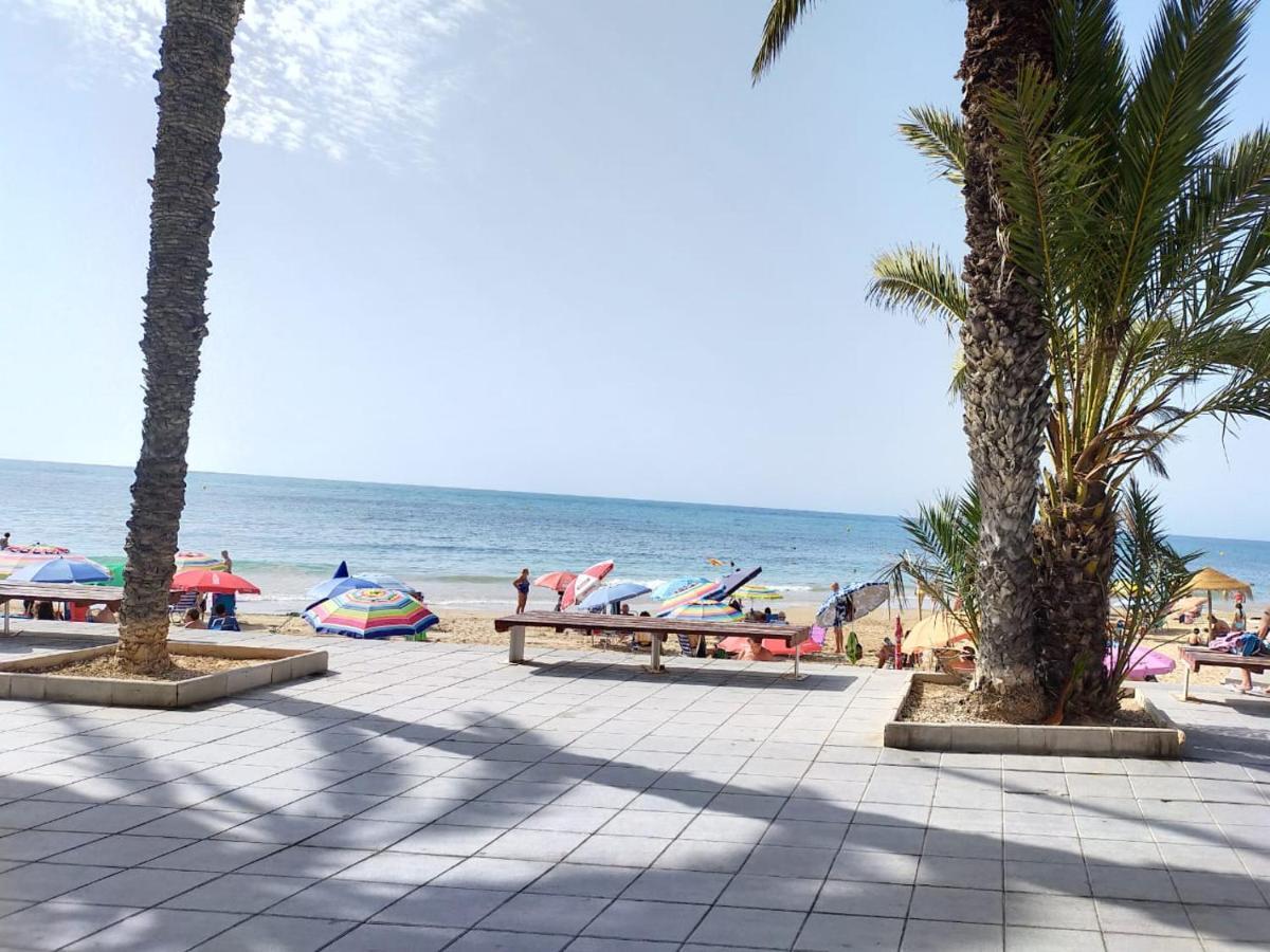 Estudio Comodo En Torrevieja Eksteriør bilde