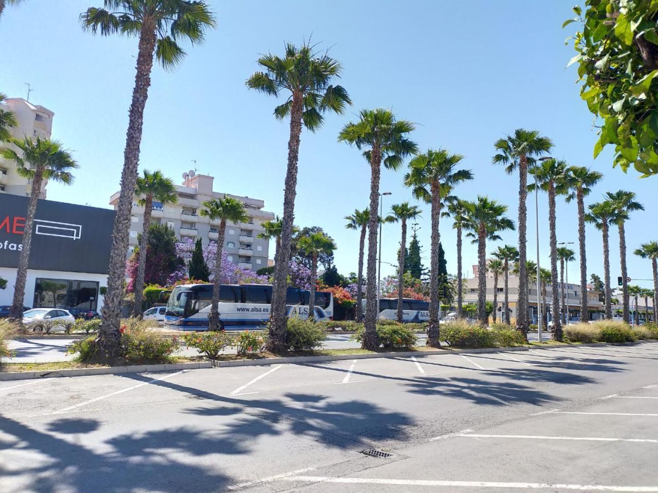 Estudio Comodo En Torrevieja Eksteriør bilde